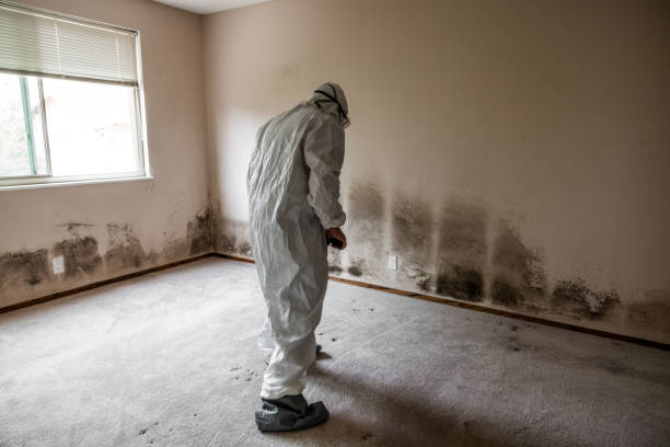 Wallace, LA Mold Remediation Company